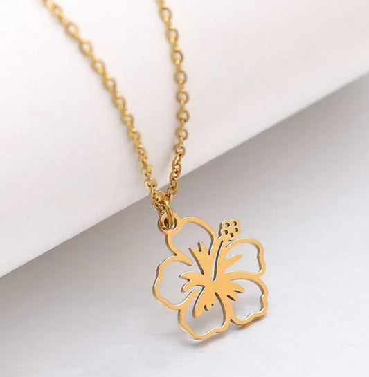 Amapola